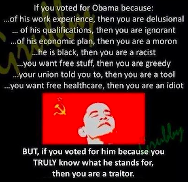 If You Voted for Obama